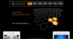 Desktop Screenshot of ninja-analytics.com